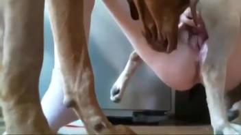 Girl in white socks getting pounded with legs wide open