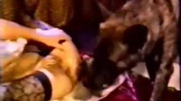 Steamy spouse lets the canine deeply penetrate her moist vagina