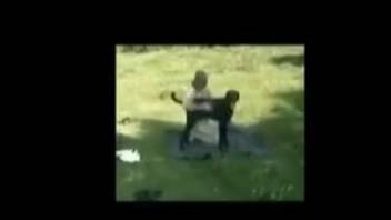 Collection of extremely wild sex sessions with hot beasts