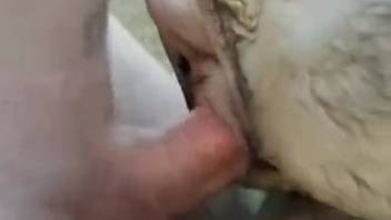 Steamy dude pounding a creature's ass from the rear with intense force