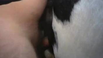 Guy deploys his huge dick to fuck a perverted beast
