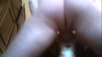 Guy inserts his thick cock into a canine's tight opening