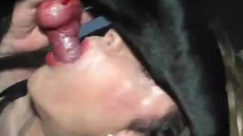 Horny sissy deepthroating a black dog's juicy penis