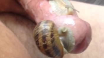Guy enjoys two naughty women servicing his rock-hard cock