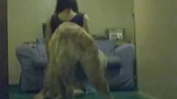 Inexperienced young woman attempts doggy position with her adorable Labrador