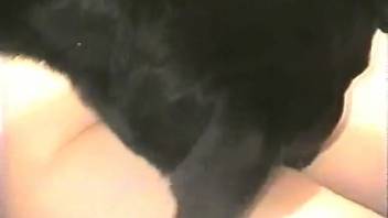 Obedient girl with a firm ass mounts a canine penis