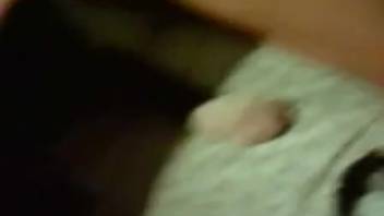 Intimate bestiality scene with passion for doggystyle