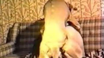 Blondie gets the big dog to ruin her pussy and ass