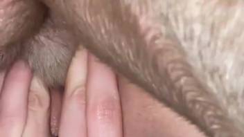 Hot wild girl pounding her snug tiny slit