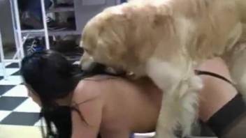 Girls make threesome love to obedient doggy