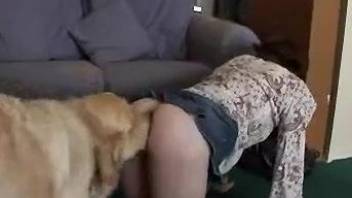 Golden retriever accompanies masked chick and guy in their sex