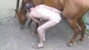 Guy inserts massive horse cock into his asshole outside