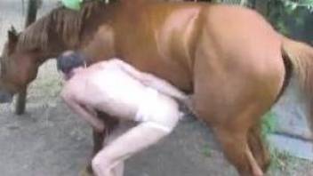 Man takes huge penis of horse into butthole outdoors