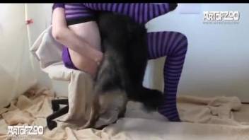 Striped socks hottie worships a dog's big boner