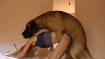Massive canine thrusts enormous penis into owner's mouth and vagina