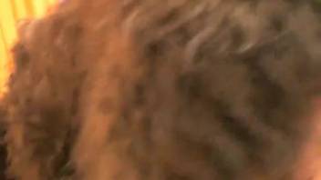 Slim girl with lower back tattoo banged doggy style by hairy guy