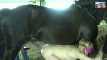 Bare older woman positions herself for the stallion's penis in a zoo clip