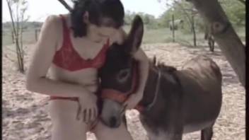 Amazing outdoor bestiality involving dogs and sexy women